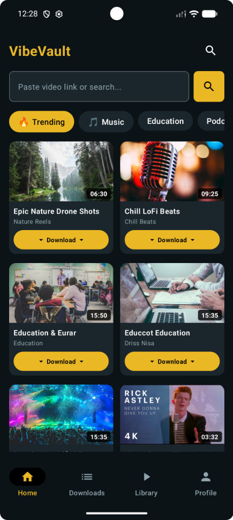 VibeVault Home